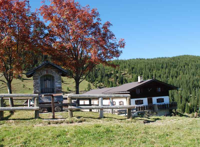 Ruhige Alm am Achensee: Die Falkenmoosalm