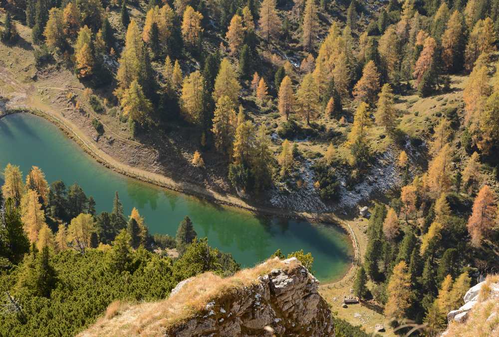 So schön bunt ist der Lärchenwald im Rofan nahe der Erfurter Hütte 