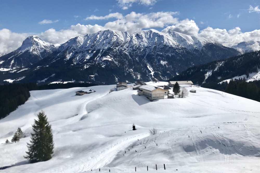 Der Blick über die Falkenmoosalm auf das Rofangebirge am Achensee