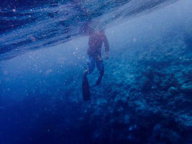 Die kühle Achensee Wassertemperatur ermöglicht eine gute Sicht beim Tauchen