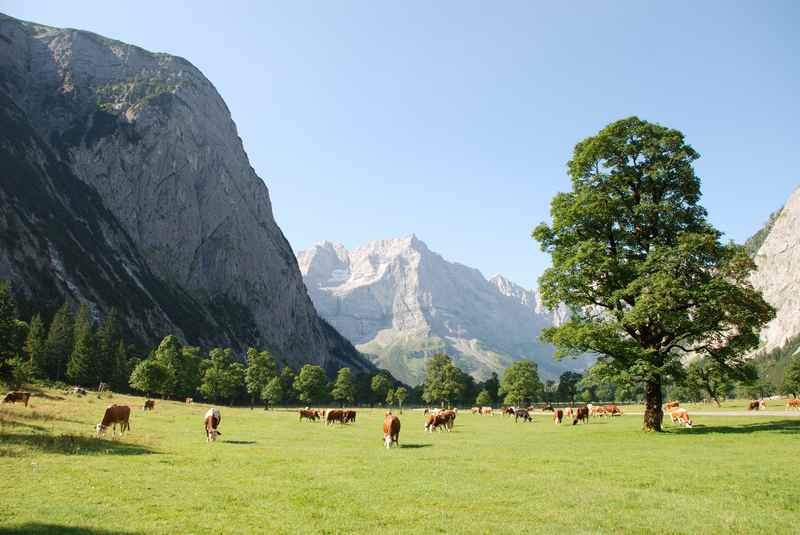 Am Ahornboden gefällt mir das Wandern ganz besonders - bizarre Bergkulissen mit sehr vielen Ahornbäumen