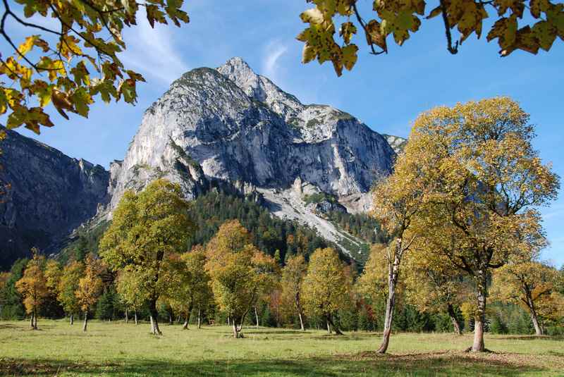 Das bekanntes Herbstbild: Großer Ahornboden im herbstlichen Farbenrausch