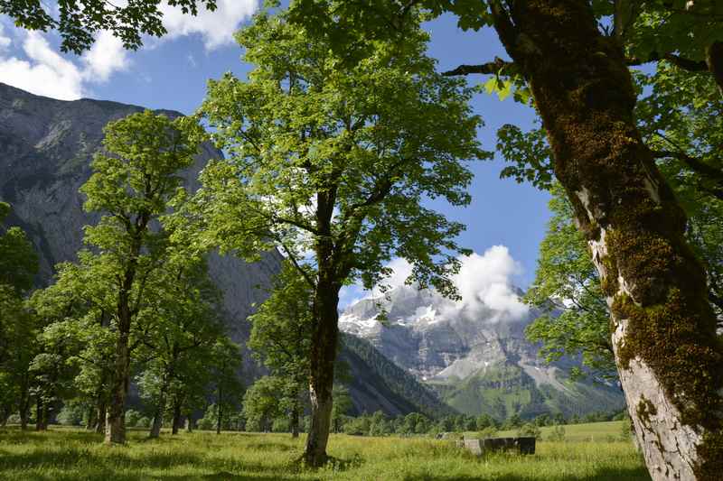 Das Wanderziel der König Ludwig Karwendeltour: Der große Ahornboden