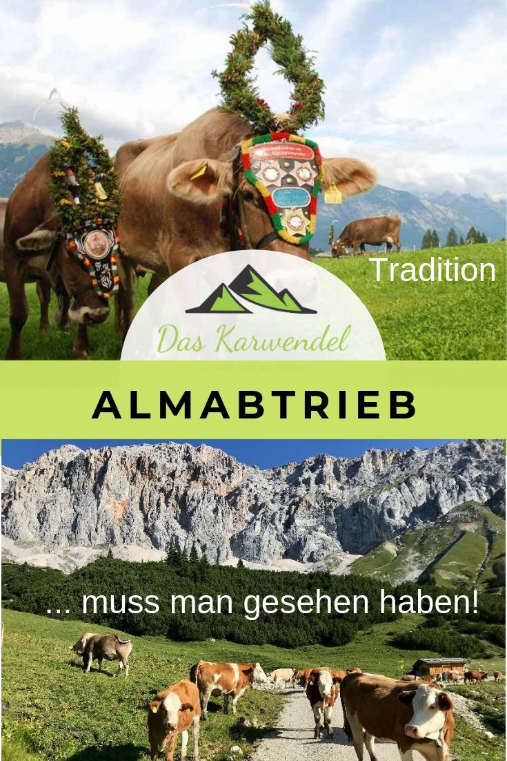 Almabtrieb - mit diesem Pin auf Pinterest merken!