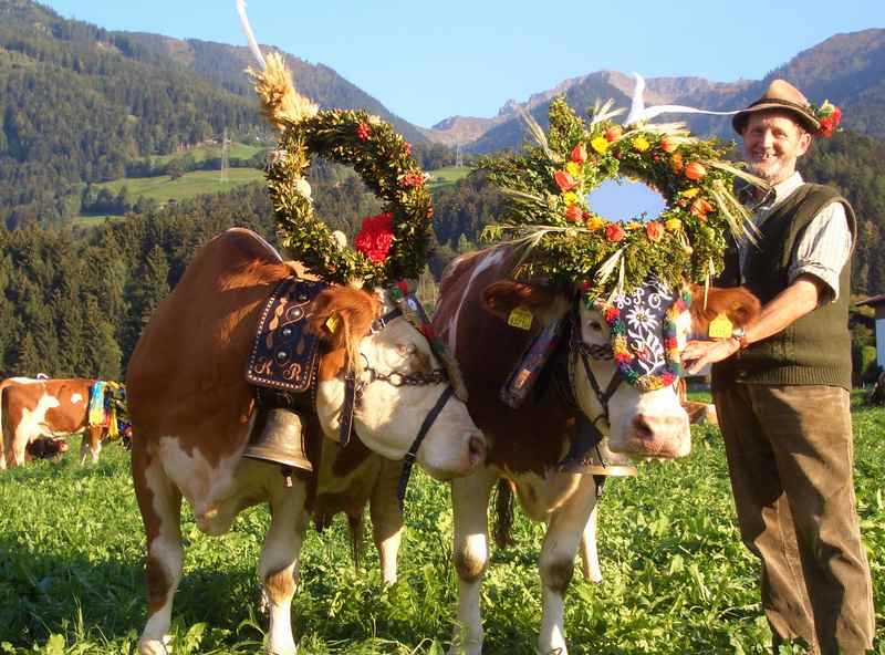 Im September Urlaub im Karwendel zum Almabtrieb - traditionell wie früher