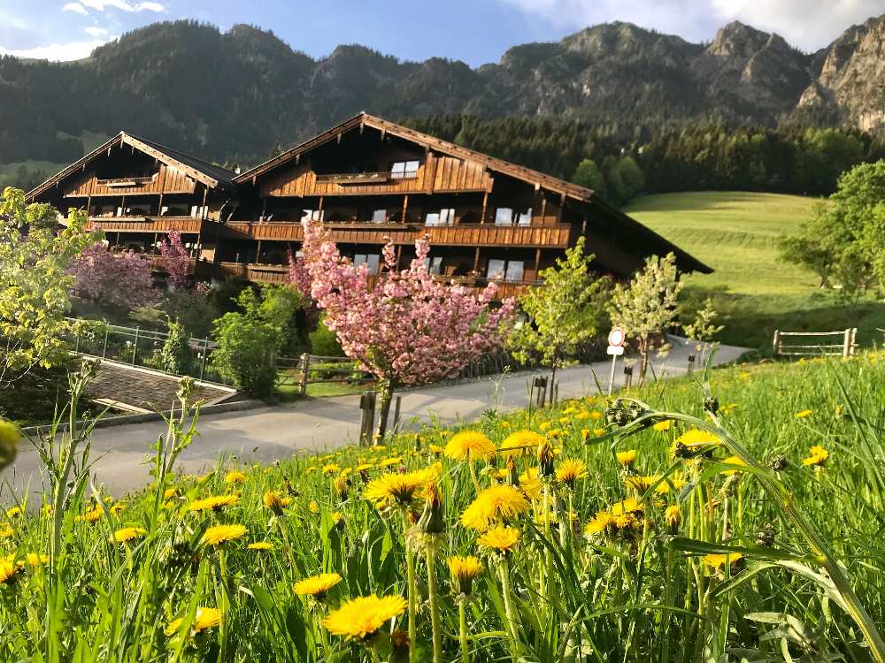 In Alpbach wandern und die Holzhäuser bewundern - ein ganzes Dorf wie eine Alm!