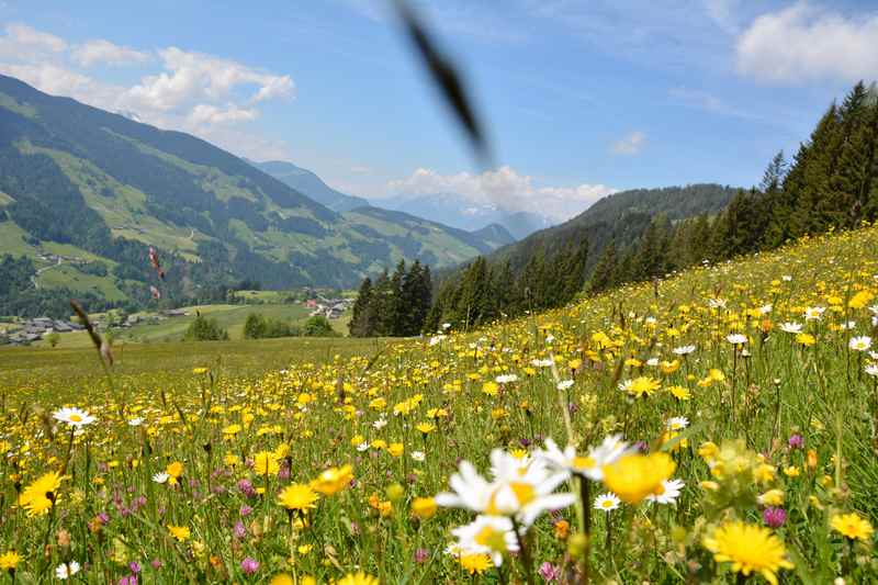 Über den Kerschbaumer Sattel e-biken im Alpbachtal in Tirol 