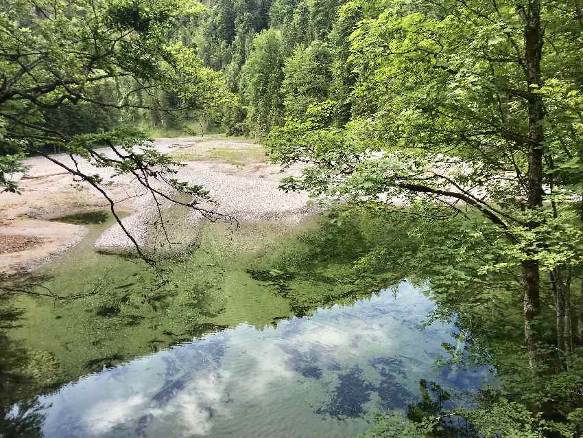 Das aufgestaute saubere Wasser der Eschenlaine "Am Juchzer" in Eschenlohe