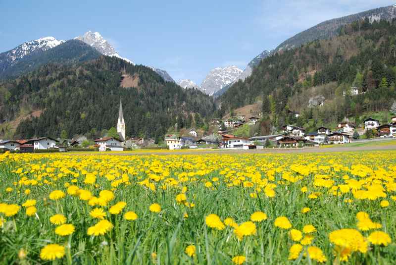 Aprilurlaub im Karwendel - mit den blühenden Löwenzahnwiesen in Stans