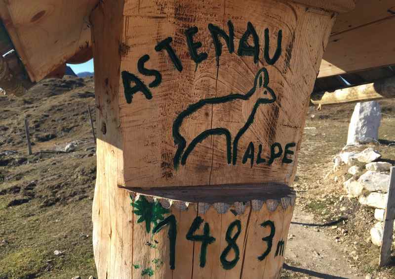 Die Astenau Alpe auf 1483 Metern im Rofan, Tirol