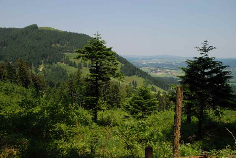 In Bad Tölz auf dem Blomberg die Aussicht über das Tölzer Land