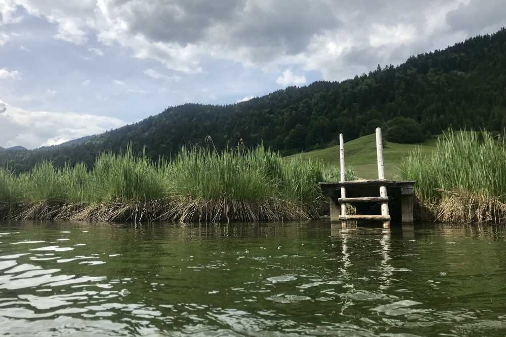 Das ist der urige Badesteg am offiziellen Seezugang in den Geroldsee