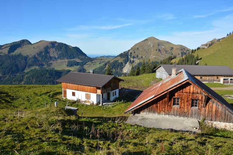 Schöne Almen im Bächental im Karwendel