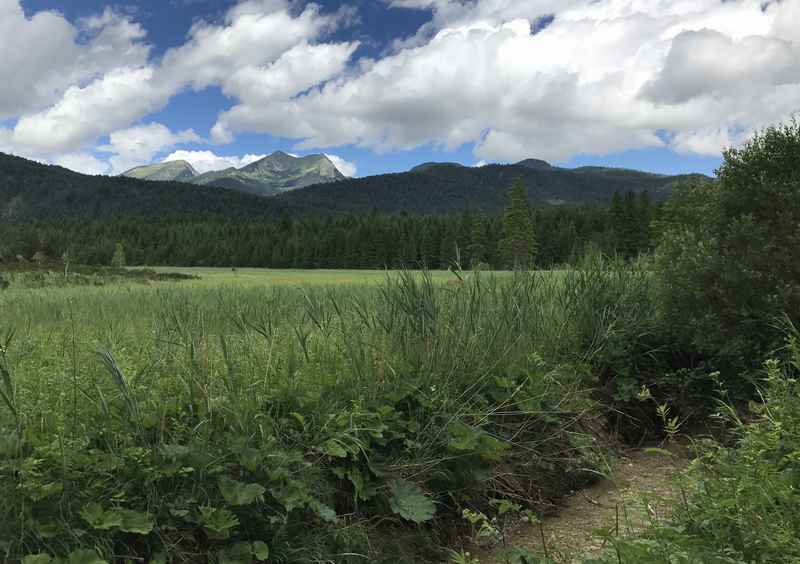 Am Moor entlang wandern und die Gipfel des Estergebirge sehen