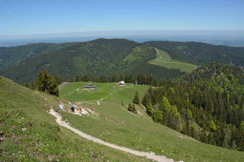 Der Aufstieg von der Baumgartenalm auf die Baumgartenschneid am Tegernsee