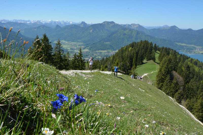 Der Wanderweg führt über die freie Wiese auf die Baumgartenschneid und hat diese schöne Aussicht