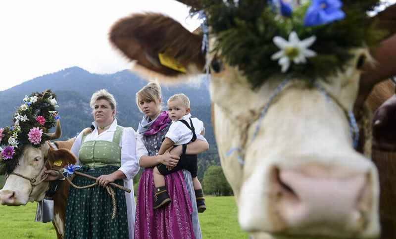 Eine schöne Tradition in Bayern: Almabtrieb Mittenwald im Isartal, Foto: Wolfgang Ehn, Alpenwelt Karwendel