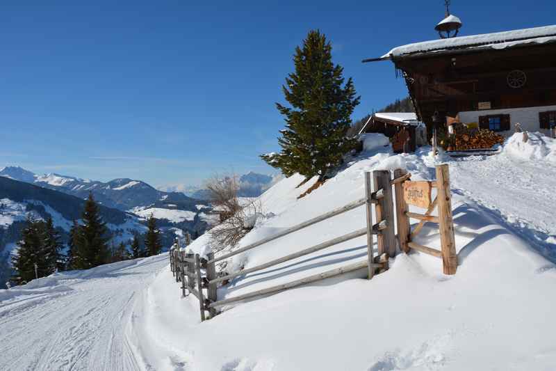 Die Bischofer Alm Rodelbahn in Alpbach, Kitzbüheler Alpen