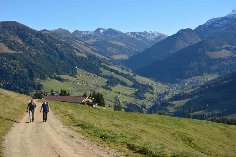 Zur Bischofer Alm wandern, leichte Wanderung in Alpbach