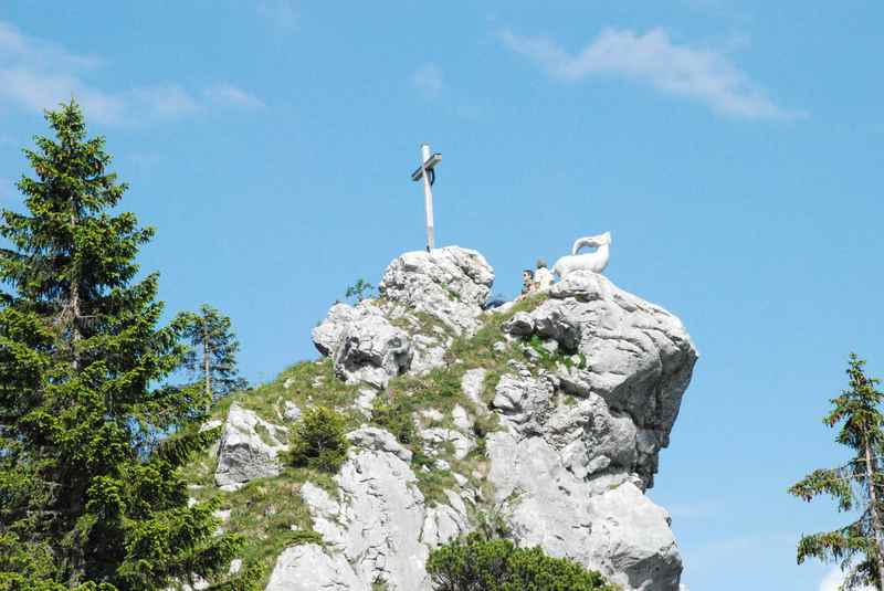 Auf dem Brauneck wandern in Lenggries - zum Steinbock aus Stein...