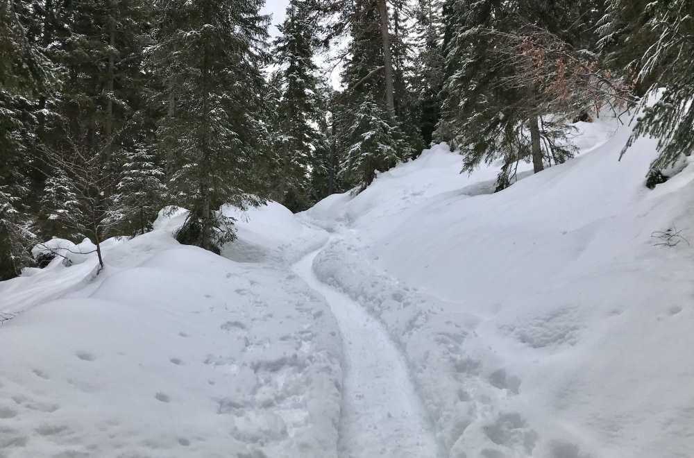 Schneewanderung Leutasch: Ein winterliches Bergabenteuer auf dem Brunschkopf