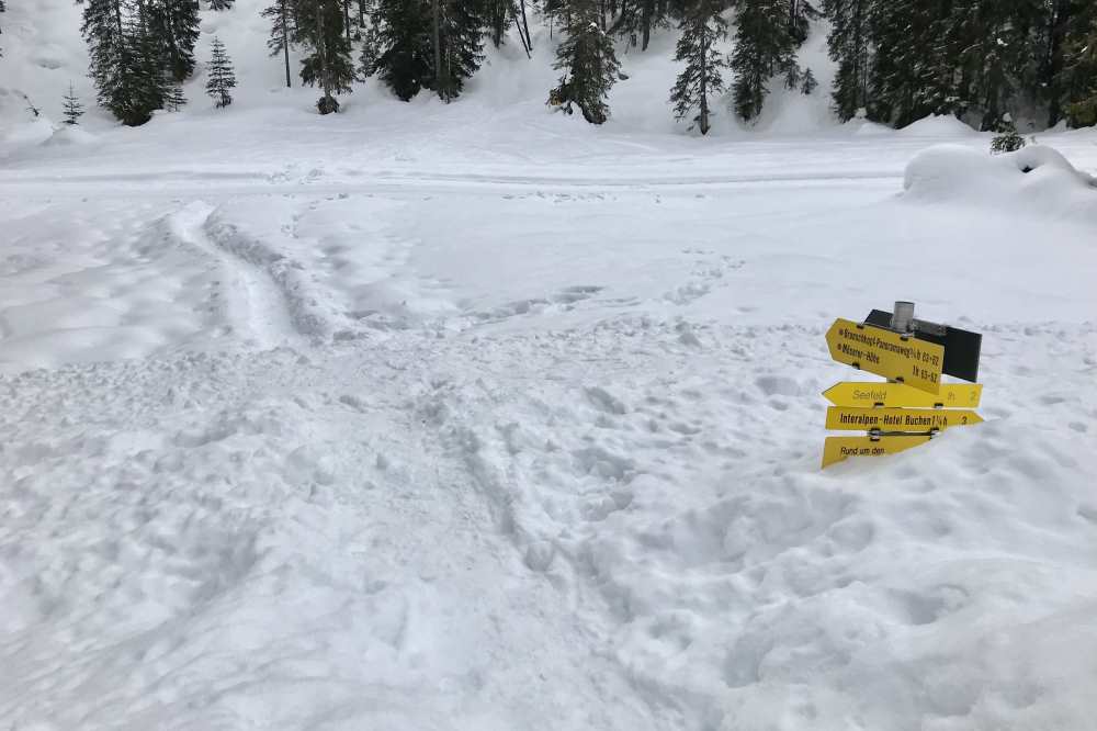 Wenn so viel Schnee liegt geht es über den hohen Schneestock und dann in den Spuren der Schneeschuhwanderer