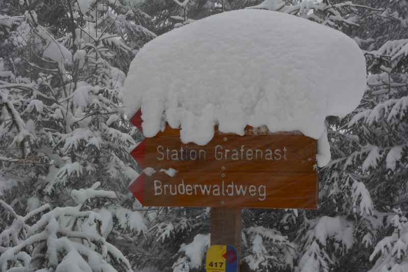 Soviel Schnee: Der Wegweiser der Burg Freundsberg Rodelbahn ist nicht lesbar...