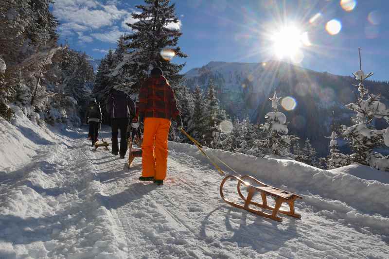 In Christlum rodeln - die Rodelbahn im Karwendel beim Christlum-Lift am Achensee