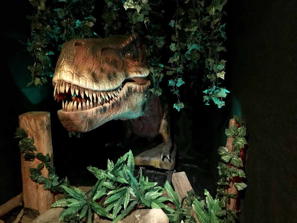 Der König der Dinosaurier begrüßt am Eingang in den Dinosaurierpark - im Dinoland Tirol