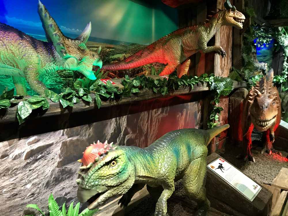 Einblick ins Dinoland: So viele Dinosaurier! Im Dinosaurierpark Tirol.