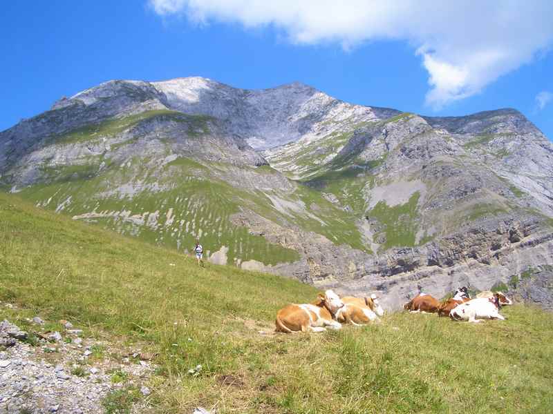 Wandern bei der Engalm mit Kindern ins Karwendelgebirge