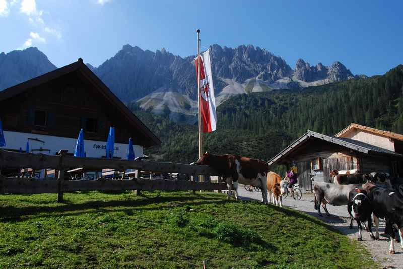 Auf die Eppzirler Alm mountainbiken in Seefeld, schönes Karwendel in Tirol