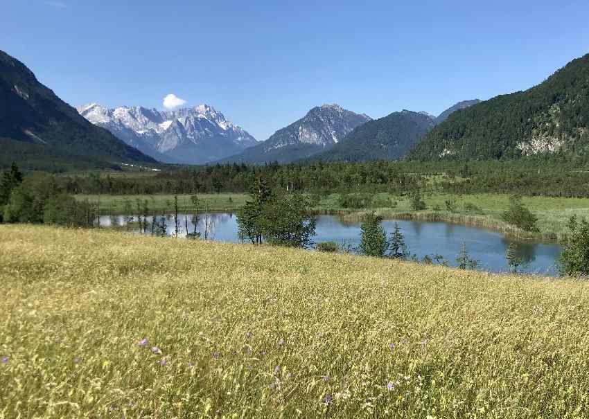 Mit dem Mountainbike von Eschenlohe nach Oberau - am Moos vorbei