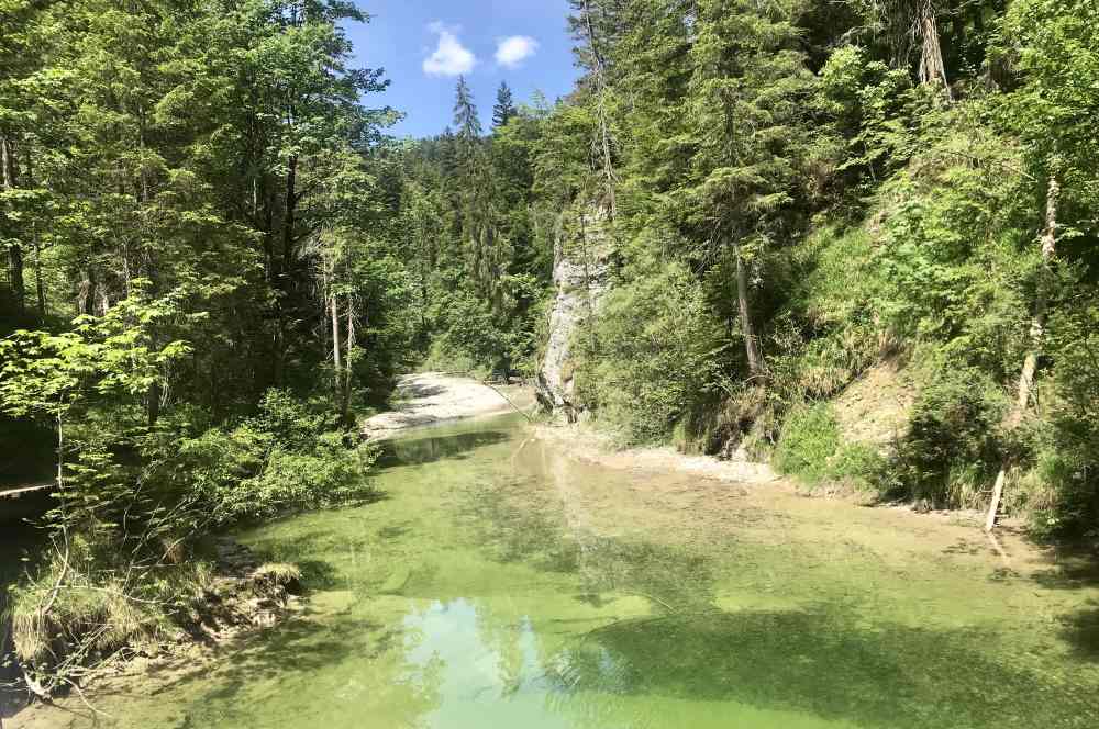 Glasklar fließt das Wasser durch die Finzbachklamm