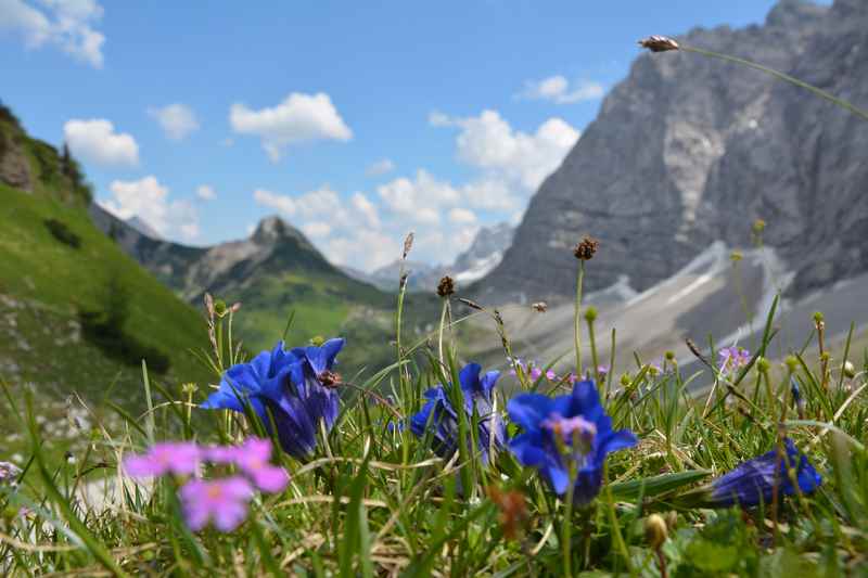 Vom Hohljoch auf die Falkenhütte wandern im Karwendelgebirge