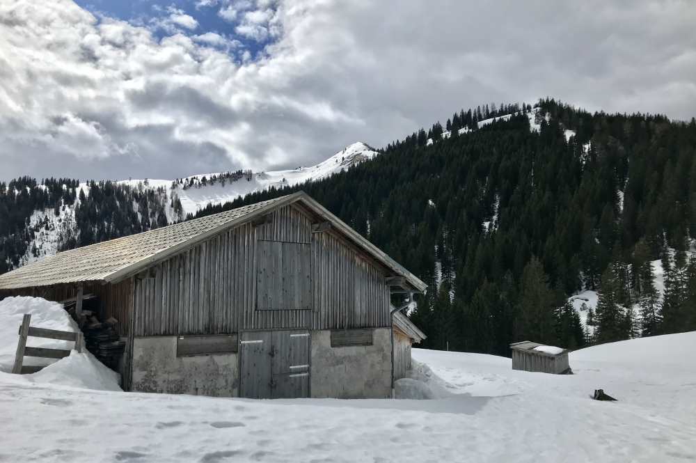 Der Blick von den Hütten der Falkenmoosalm auf die Hochplatte im Karwendel