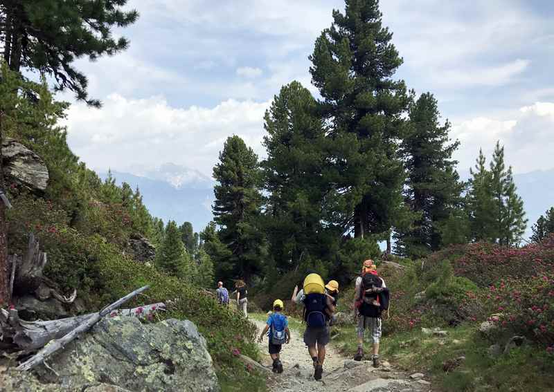 Die Familienwanderung am Zirbenweg bei Innsbruck ist vielbegangen