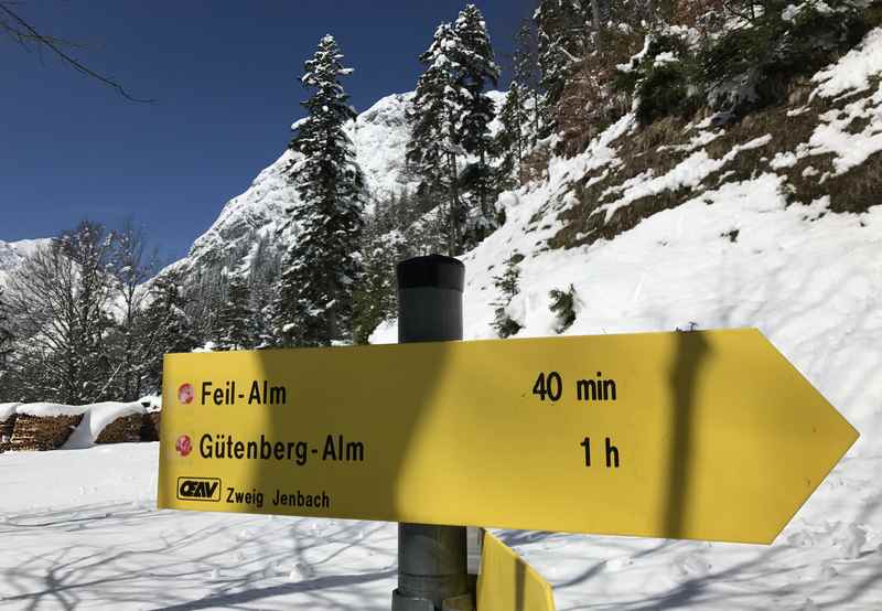 Vom Steig rechts abbiegen auf den breiten Weg zur Feilalm