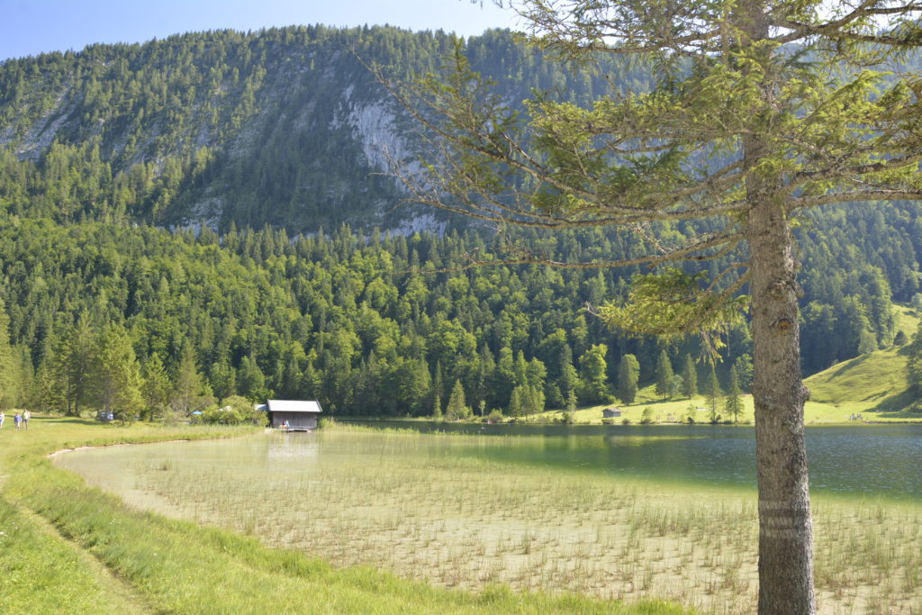 Am Ferchensee Ufer Richtung Mittenwald wandern