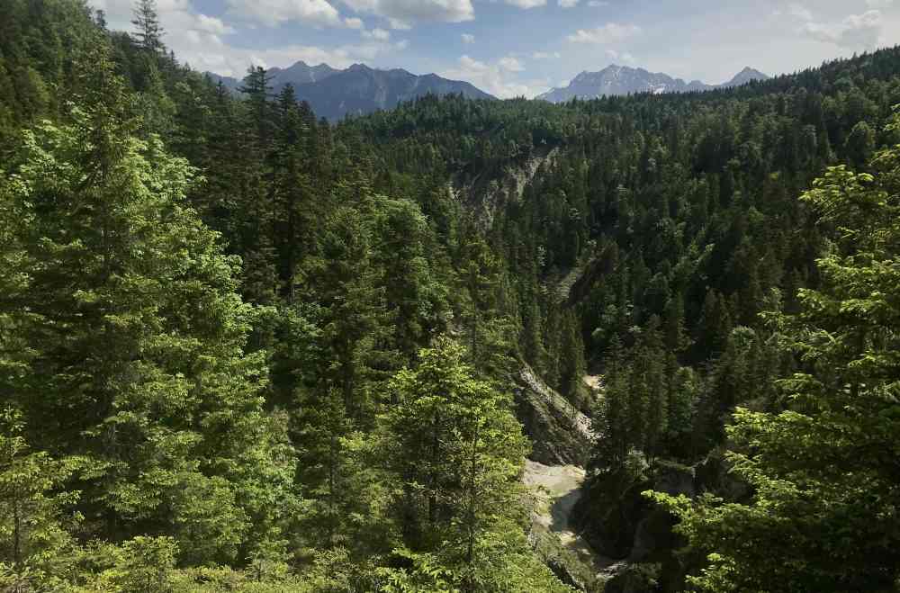 Der Blick bei der Anhöhe der Finzalm zu den Bergen und in die wilde Finzbachalm