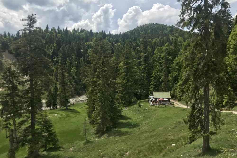 So idyllisch liegt die alte Finzalm im Estergebirge