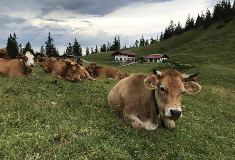 Auf dem Rückweg bei der Fischbachalm sind schon die Gewitterwolken am Himmel