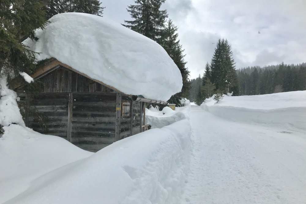 Schneewanderung Leutasch: Das ist die toll verschneite Hütte auf der Lichtung im Fludertal