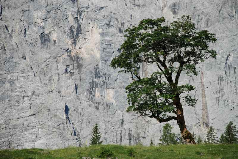 Fotokurs in der Natur
