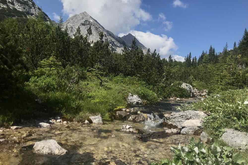 Das Landschaftsbild änder sich im oberen Gaistal - der Bach wird kleiner, die Berge höher