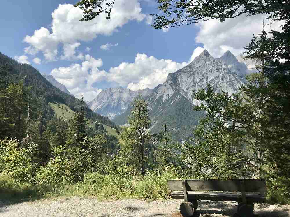 Das ist der atemberaubende Blick, wenn du aus dem Wald wanderst!