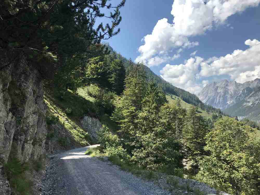 Auf dem breiten Forstweg kannst du auch gut zur Ganalm mit dem Kinderwagen wandern 