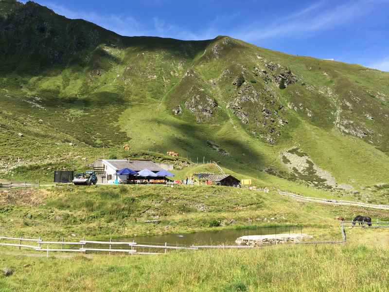 Bei der Gartalm am Kellerjoch mountainbiken im Zillertal