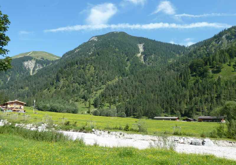 Gernalm Wanderung: Die Almwiesen im Gerntal rund um die Pletzachalm am Achensee