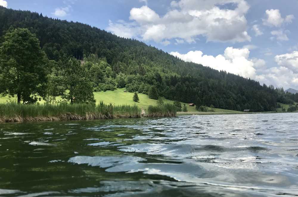 So schön ist das Wasser zum Baden und Schwimmen am Geroldsee